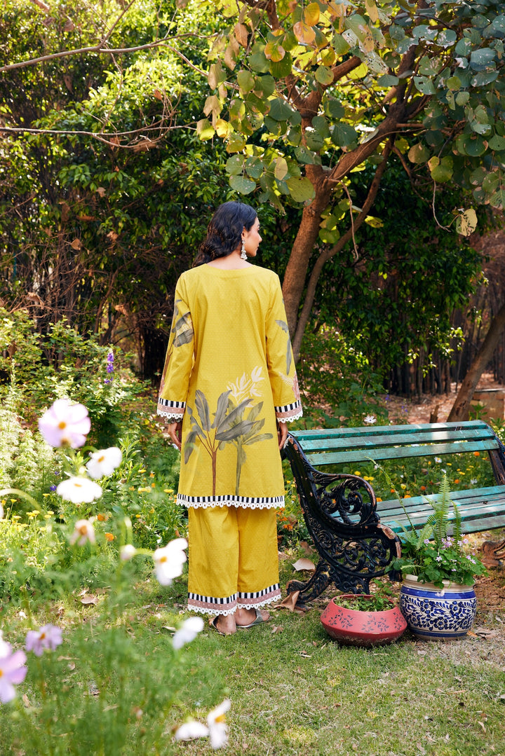 Noor Yellow Short Cotton Kurta-Set of 3