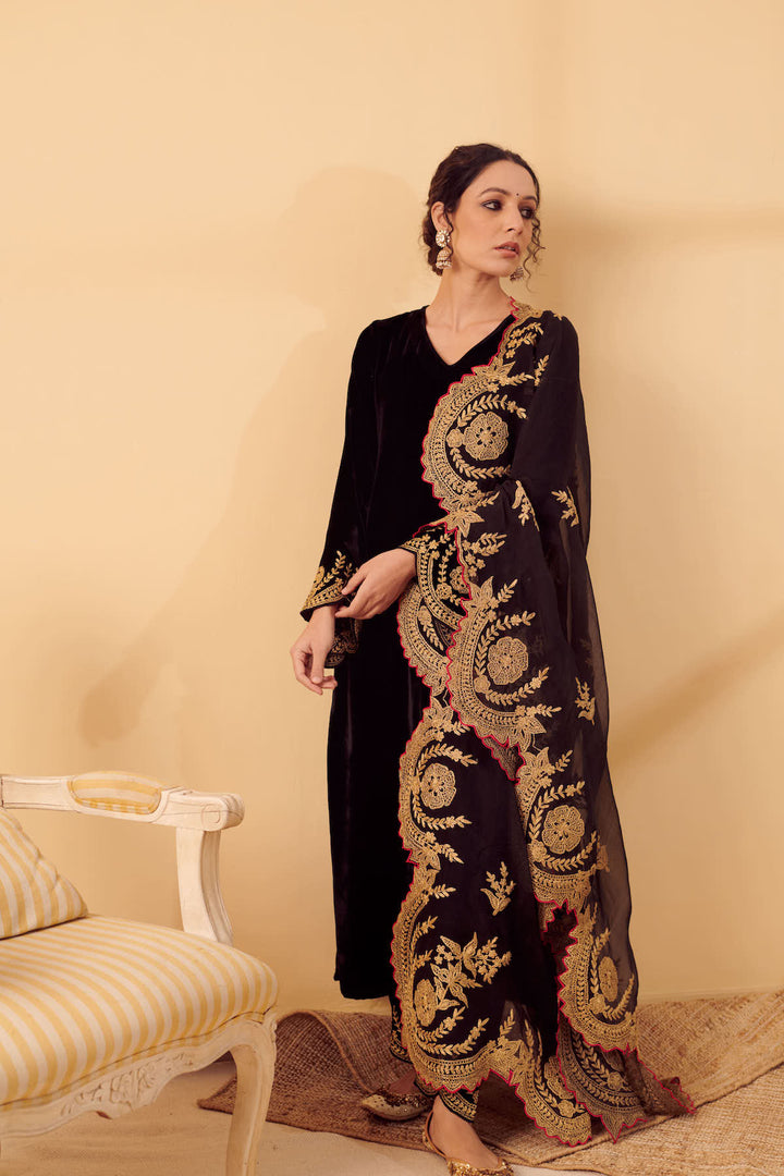 Naveli Black Zari Embroidered Kurta with Organza dupatta